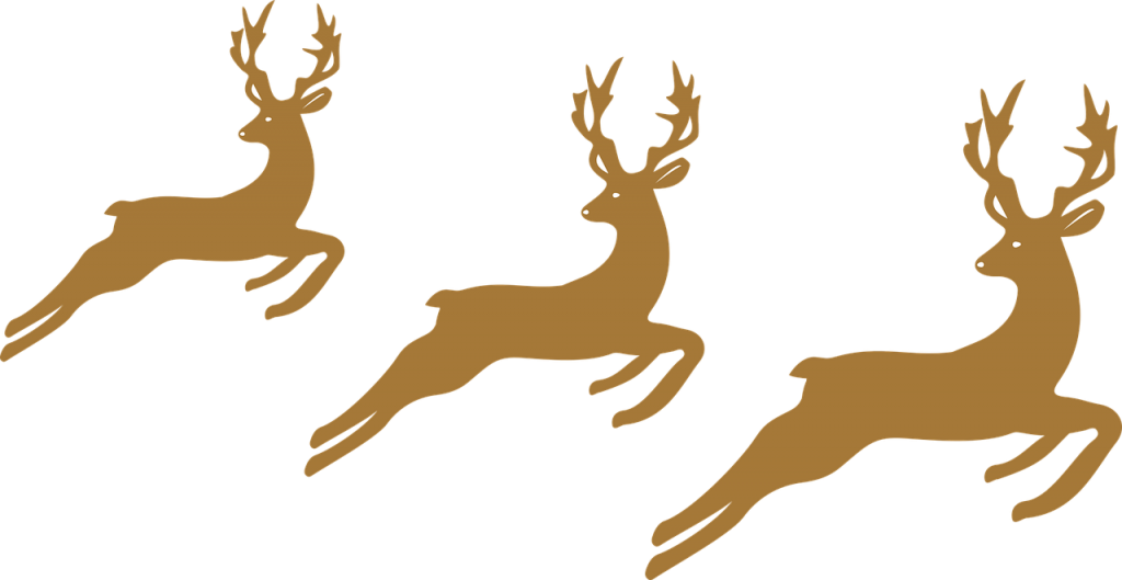 reindeer-3019229_1280